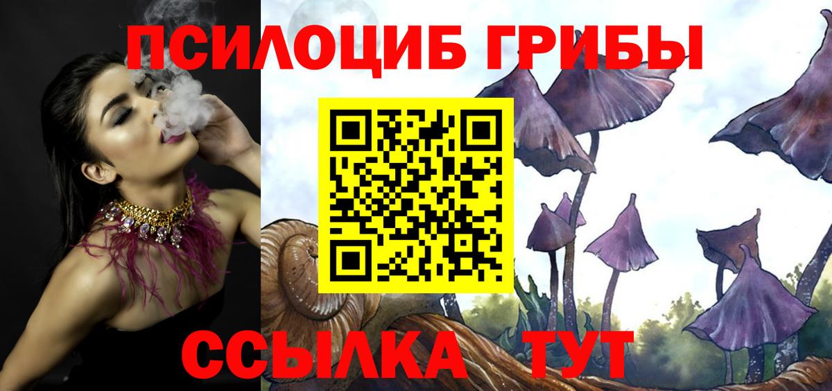 Галлюциногенные грибы Psilocybine cubensis Северобайкальск